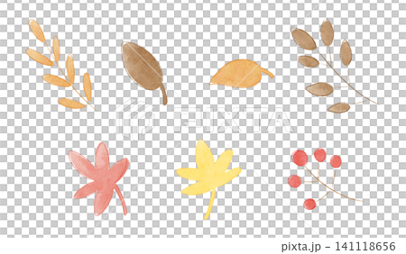 Autumn leaves and berries set, watercolor style 141118656