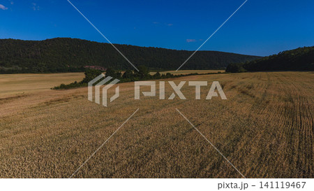 Stunning view of Dniester river canyon and surrounding fields in Ukraine Stunning view of Dniester river canyon and surrounding fields in Ukraine 141119467