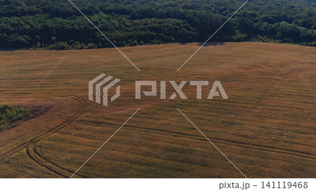 Canyon valley and river view in summer time in Ukraine Canyon valley and river view in summer time in Ukraine 141119468