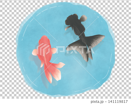 水彩畫金魚的插圖 水彩畫金魚的插圖 141119817