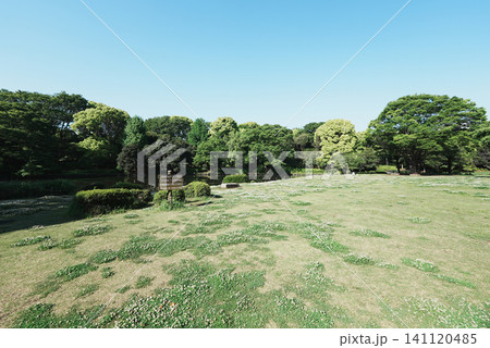 北の丸公園の風景 北の丸公園の風景 141120485