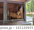 伊勢神宮の守り馬 141120935