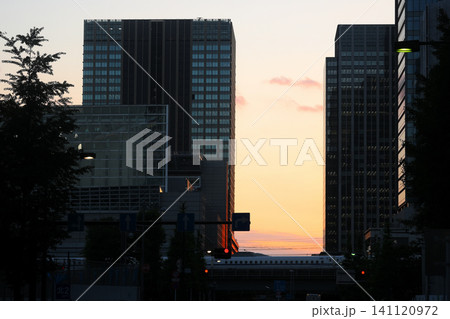 夕暮れの東京の景色 夕暮れの東京の景色 141120972