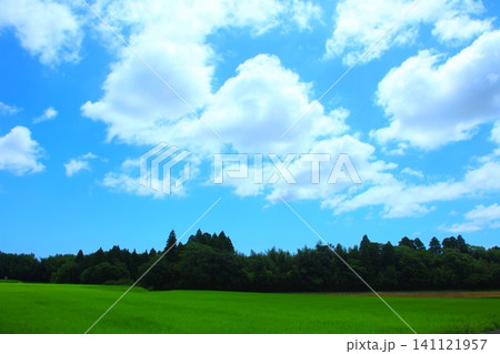 爽やかな青空の田園風景 爽やかな青空の田園風景 141121957