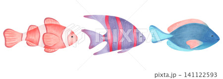 Clownfish, angelfish and surgeonfish. Watercolor cartoon children illustration. Hand drawn tropical fish. Marine animal underwater world. Clipart for nursery wall art, baby shower or nautical decor. Clownfish, angelfish and surgeonfish. Watercolor cartoon children illustration. Hand drawn tropical fish. Marine animal underwater world. Clipart for nursery wall art, baby shower or nautical decor. 141122593