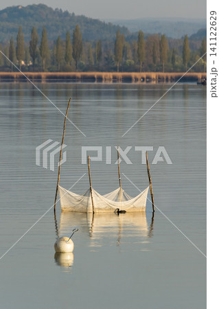 Traditional fish trap on Lake Constance, Germany Traditional fish trap on Lake Constance, Germany 141122629