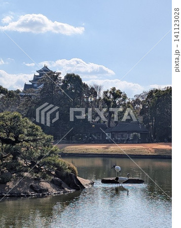 新春の岡山後楽園で岡山城を背景に佇むタンチョウの美しい風景 新春の岡山後楽園で岡山城を背景に佇むタンチョウの美しい風景 141123028