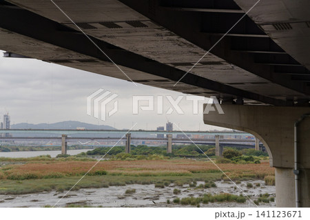 Multiple Bridges Seen From Under Pier Over Wetland Floodway Multiple Bridges Seen From Under Pier Over Wetland Floodway 141123671