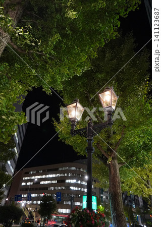 新潟市の街灯01 新潟市の街灯01 141123687