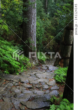 苔むした石段の古道 141124145