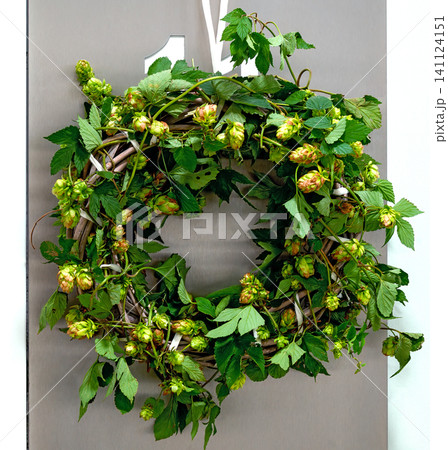 door wreath with fresh wild hop door wreath with fresh wild hop 141124151