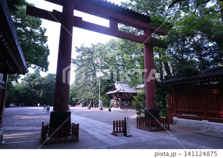 神社の鳥居と参道 日本の伝統建造物 141124875