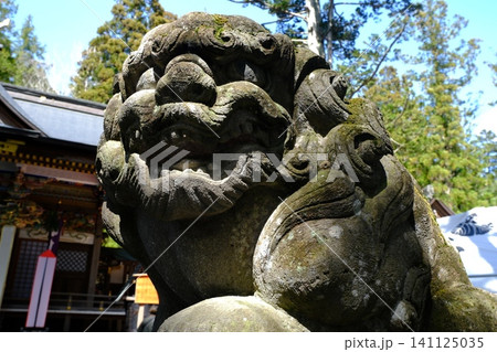 苔むした狛犬の石像と日本の寺院建築 141125035