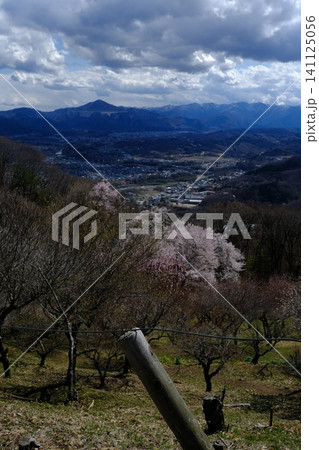 湖畔の古い建物跡と枯れ木、曇り空の風景 141125056