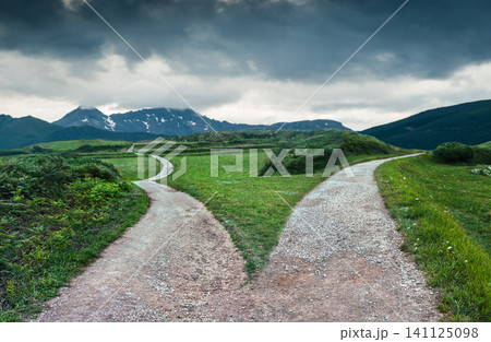 landscape of a fork in the road at storm weather, concept of insecurity of future landscape of a fork in the road at storm weather, concept of insecurity of future 141125098