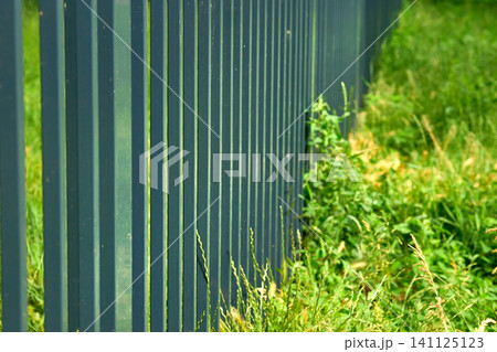 Metal green fence enclosing a green area Metal green fence enclosing a green area 141125123