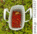 Top-down view of a white woven basket filled with freshly picked red wild strawberries and one mushroom, sitting in green grass. 141125357