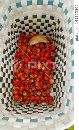 Top-down view inside a checkered woven basket filled with freshly picked red strawberries and one wild mushroom. 141125366