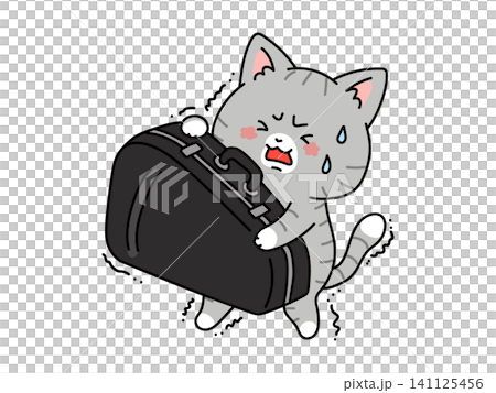 A cat carrying a large musical instrument case 141125456