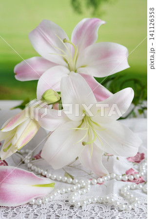 綺麗なユリの花 綺麗なユリの花 141126358