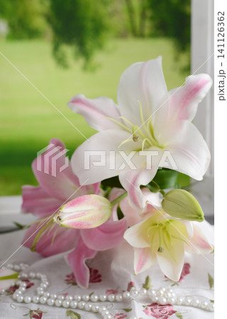 綺麗なユリの花 綺麗なユリの花 141126362
