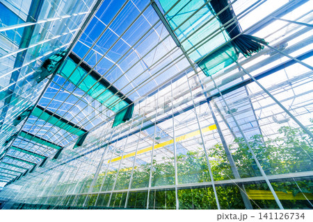 The frame of a modern greenhouse against the sky 141126734