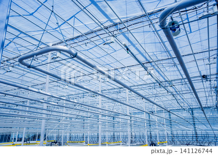 The frame of a modern empty greenhouse 141126744