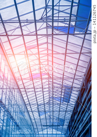 The frame of a modern greenhouse against the sky The frame of a modern greenhouse against the sky 141126745