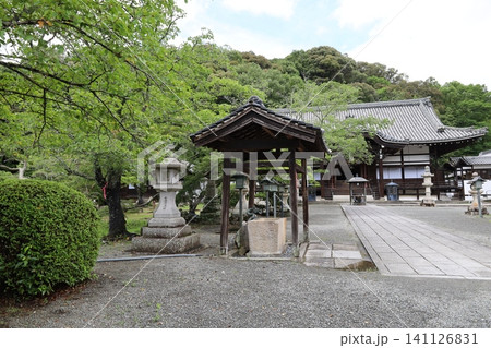 和歌山県岩出市にある根来寺の境内風景 141126831