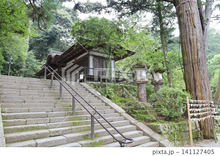 奈良県天理市にある石上神宮の境内風景 奈良県天理市にある石上神宮の境内風景 141127405