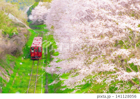平成筑豊鉄道の赤駅付近の桜と車両 平成筑豊鉄道の赤駅付近の桜と車両 141128056