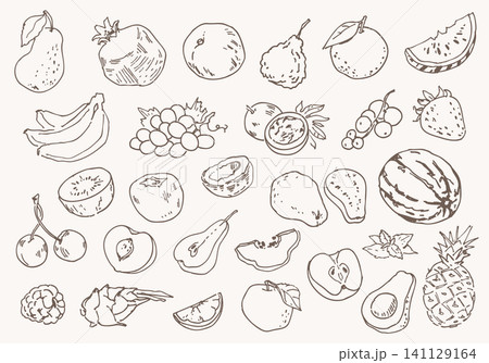 Hand-drawn fruit collection. Vintage sketch style food illustration set Hand-drawn fruit collection. Vintage sketch style food illustration set 141129164