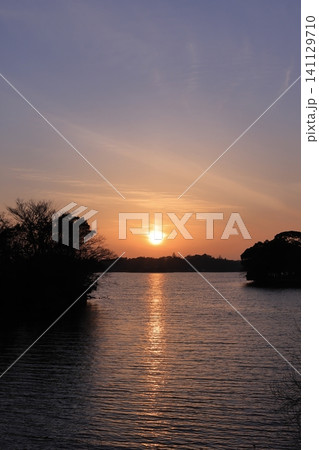 ときわ公園をオレンジ色の染める夕日 ときわ公園をオレンジ色の染める夕日 141129710
