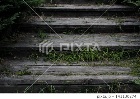 Dark steps of an old abandoned house in an ominous atmosphere. Entrance steps of an ancient haunted house Dark steps of an old abandoned house in an ominous atmosphere. Entrance steps of an ancient haunted house 141130274