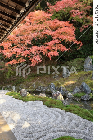 日本庭園を彩るもみじの木々 日本庭園を彩るもみじの木々 141130861