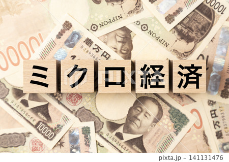 「ミクロ経済」と書かれたブロックとたくさんの一万円札 「ミクロ経済」と書かれたブロックとたくさんの一万円札 141131476