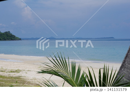 エメラルドグリーンの海と白い砂浜と緑 エメラルドグリーンの海と白い砂浜と緑 141131579