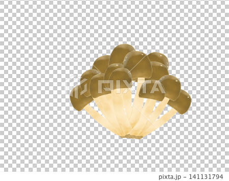 しめじ茸のイラスト しめじ茸のイラスト 141131794