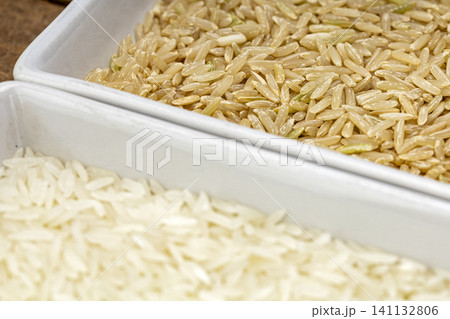 Hom Mali brown rice and Hom Mali white rice grains in a white tray, close up view for Thai cooking, healthy eating, nutrition, and rice ingredient concepts Hom Mali brown rice and Hom Mali white rice grains in a white tray, close up view for Thai cooking, healthy eating, nutrition, and rice ingredient concepts 141132806