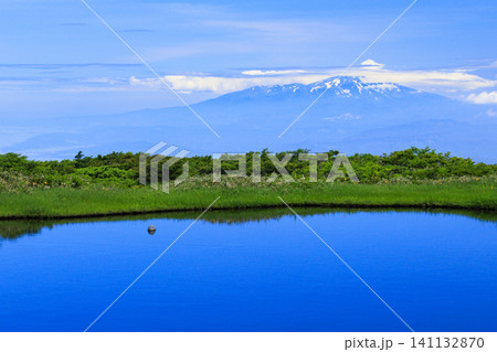 月山 弥陀ヶ原湿原の満開のニッコウキスゲ 月山 弥陀ヶ原湿原の満開のニッコウキスゲ 141132870