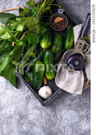 Preparation of marinated salty pickled cucumbers Preparation of marinated salty pickled cucumbers 141132929
