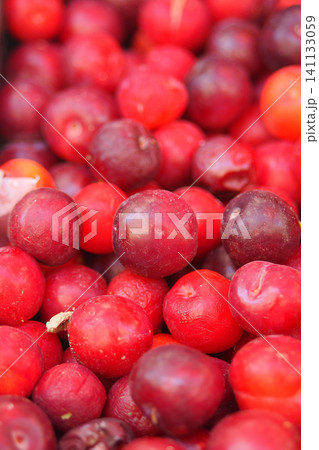Vibrant display of fresh red cranberries at a local market Vibrant display of fresh red cranberries at a local market 141133059