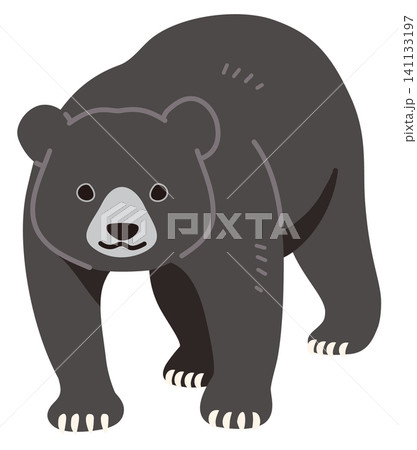 正面を向いている黒い熊の主線なしイラスト 正面を向いている黒い熊の主線なしイラスト 141133197