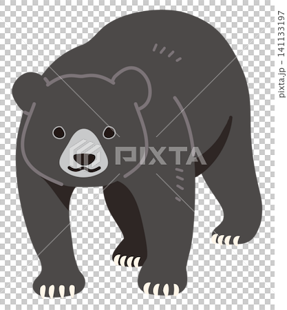 正面を向いている黒い熊の主線なしイラスト 正面を向いている黒い熊の主線なしイラスト 141133197