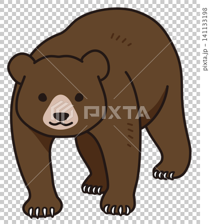 An illustration of a bear facing forward. An illustration of a bear facing forward. 141133198