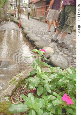 城下町の風情が残るやなか水のこみちに咲く美しい花 城下町の風情が残るやなか水のこみちに咲く美しい花 141134010