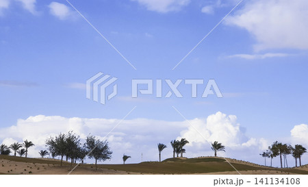 Field with trees and a blue sky Field with trees and a blue sky 141134108