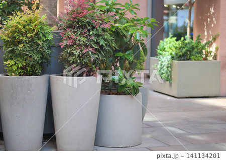 Garden planters enhance outdoor space with greenery Garden planters enhance outdoor space with greenery 141134201