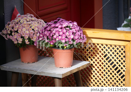 Flowers on the table by the door in an outdoor setting 141134206