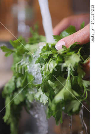 Washing fresh herbs under running water in the kitchen Washing fresh herbs under running water in the kitchen 141134212